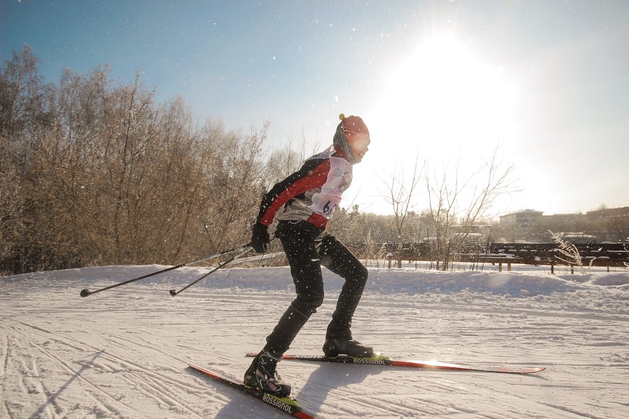 ������ ���������� ������� ��������� ������������ ������������ � 2023 ����