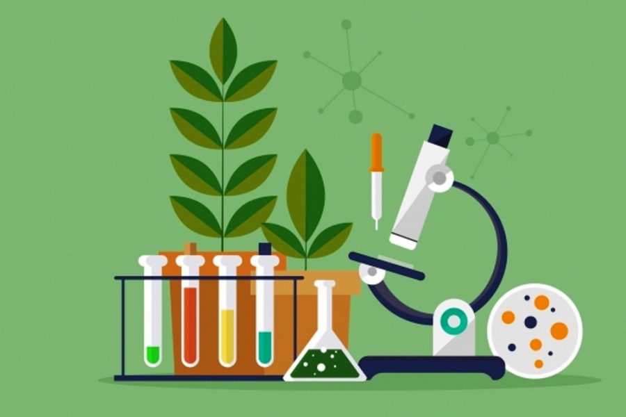 ������� ����������� �� ���������������� ��������� 2020� ��� ����������