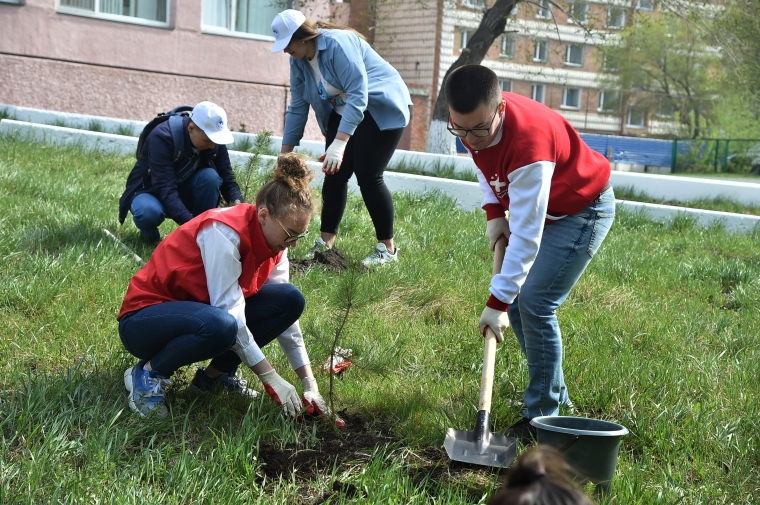 COVID-19: ������� ����� ���� ������������� ����� ������ ������