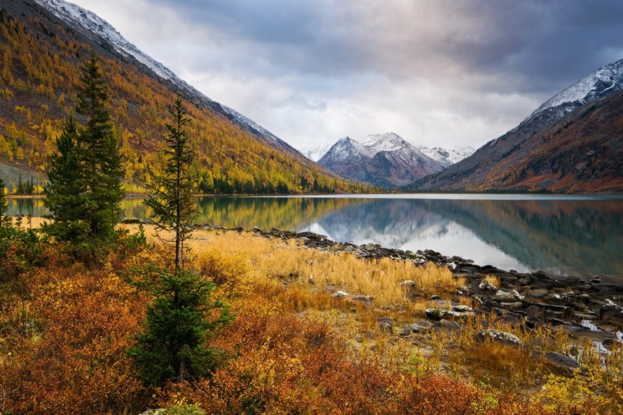 ����� ���������� ��������� ���� ������ �� �������� � ��������� ������