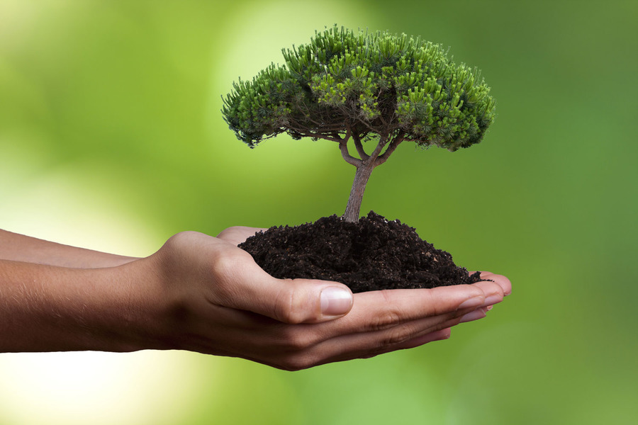 � ������� ���� ������ ������� ������� ����� �������� ������� ��������