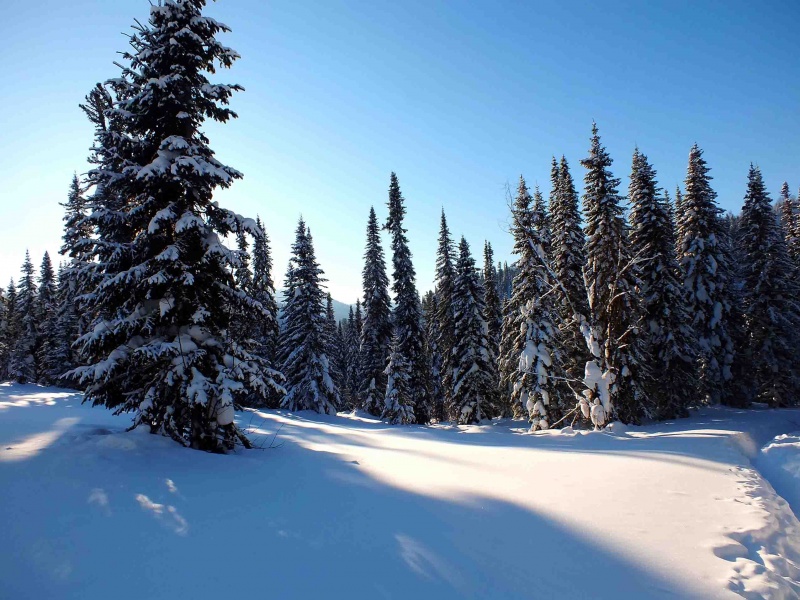 ����� ������ ����: � ������ �������� ������� 3D-��������� �� ���������������������� ������ �������