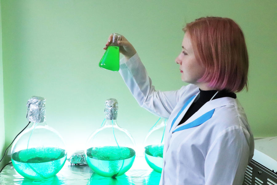 � ����� ������������� ���������� ��������� ������ ���������� �� ������ ��������������� ���������� Limnaspira fuziformis�  