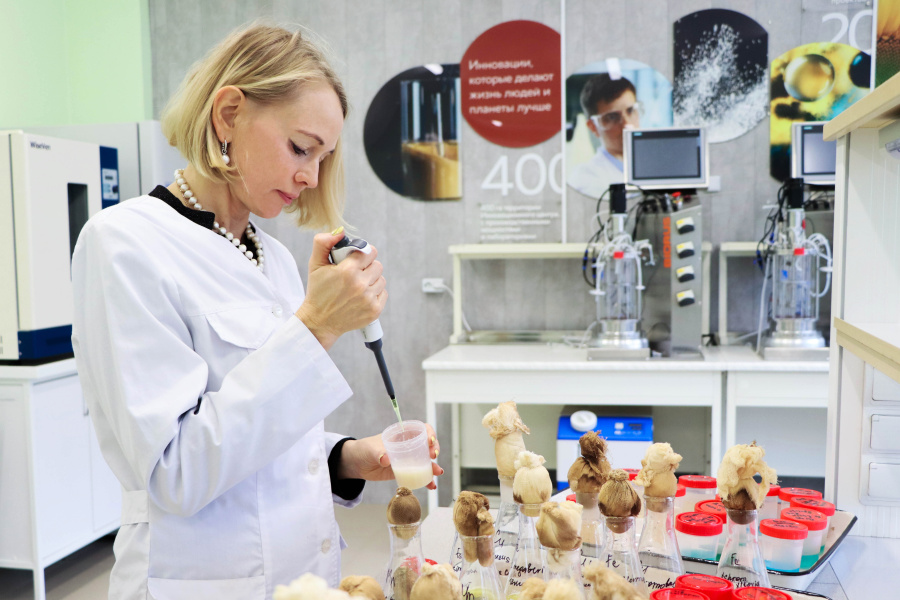 ������ ������� �������� ������� ������������ ��� ������ ������ �� ������ ��������� � ���� ���