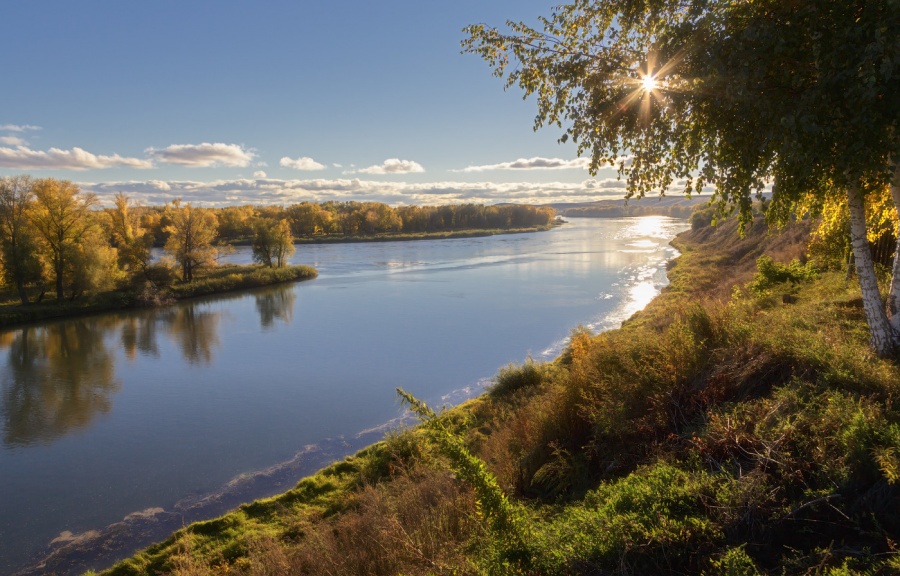 � ������ �������� �������� ������� ��������