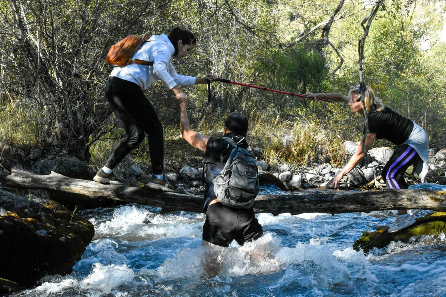 ����� ������ ���������� ������� �� ������� � ��������������