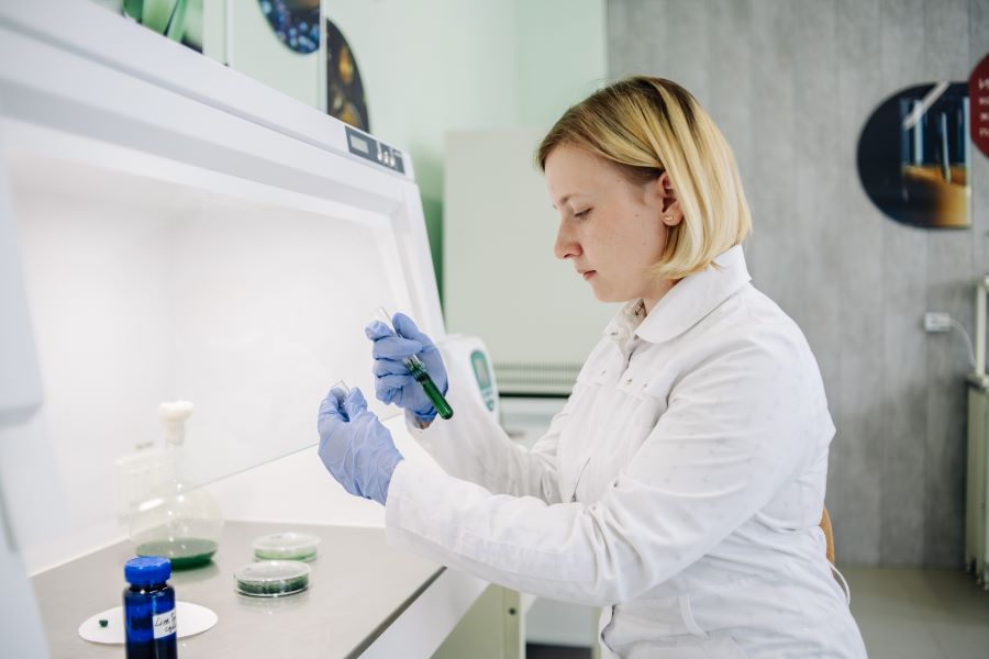 � ����������� ������������ ������� �������� �������� � ������ � �������