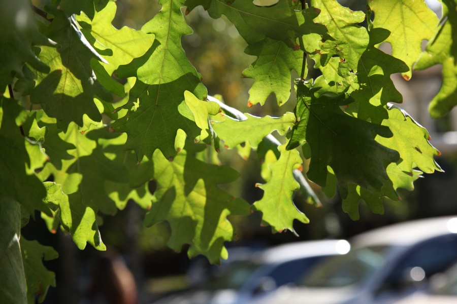 � ���� �������!