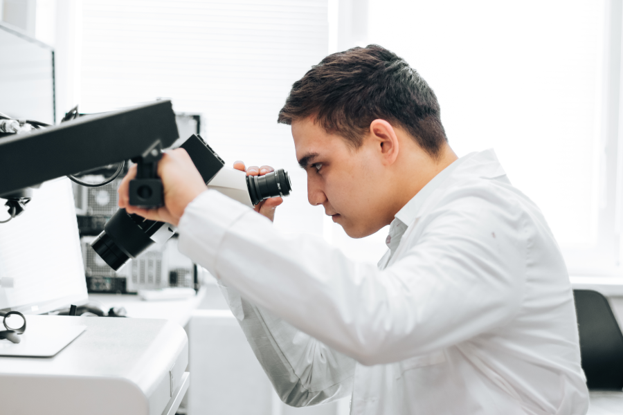 ������� ������: ������ ���������� ������� �������� �� ����� ������� � ����������������