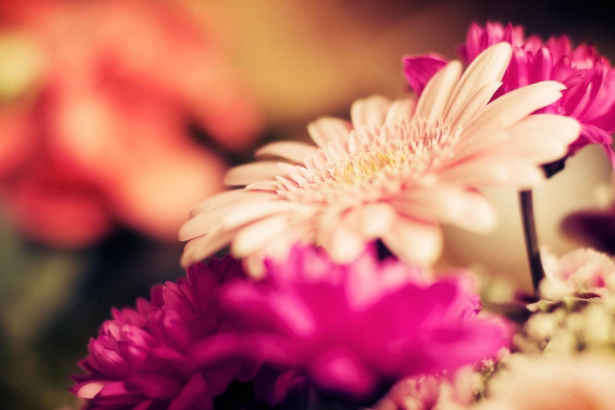 ������� ������� � ��������� ��������! ������� ��������� ������������ � ���������������� ���������� � ���� �������! 