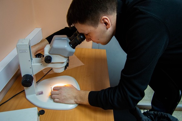 �������� ����� �������� ��� ���������� �������� ������ � ������� ������