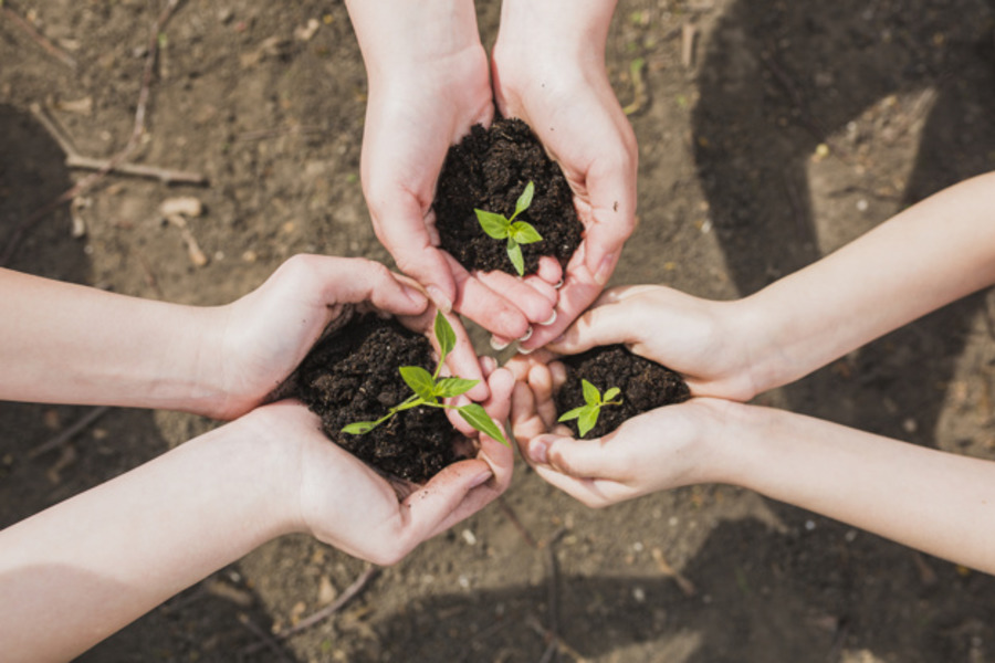 ������� �������� � ������� ���� ������� 