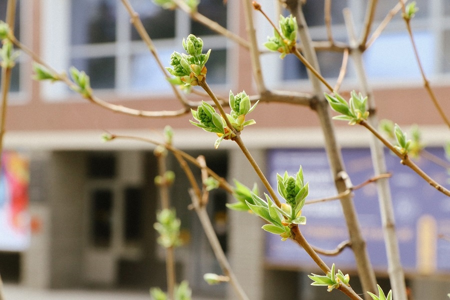 �. �. ������� ����� �������� ����������� � 1 ���