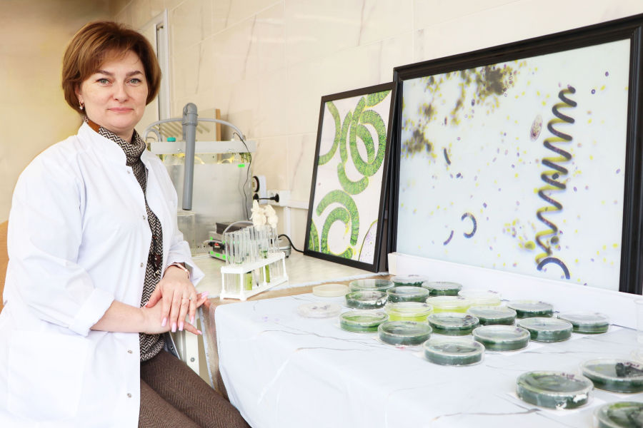 �������� �������: ��� ������������� ������ ���� �����?