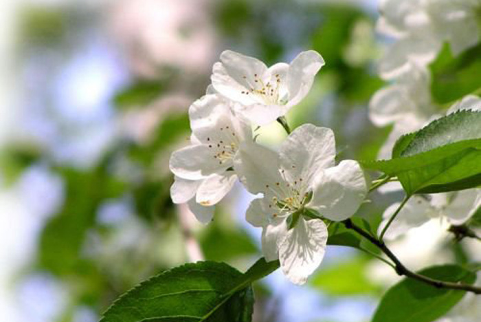 ������ ����� �.�. ����� ����������� � ���������� ����� � �����!