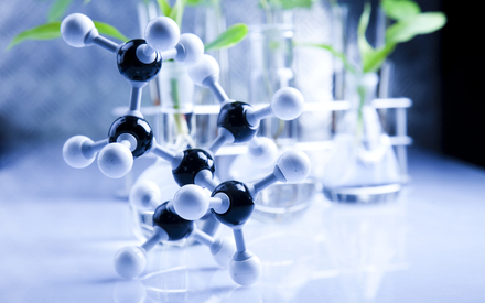 ������ ����� �.�. ����� ����������� � ���� ������