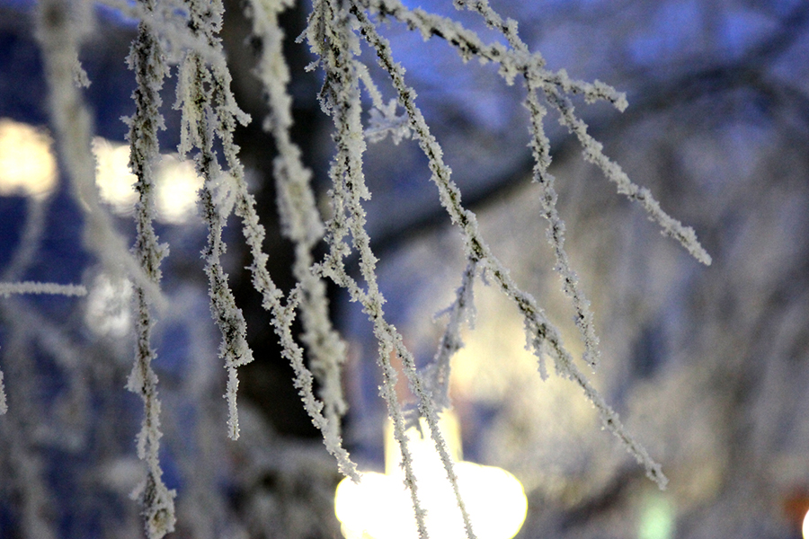 �������� ����� ��������� 2016 ����