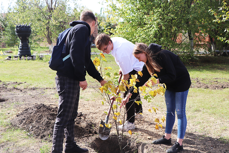 �����-���: ����������� �������� � ���������� �����