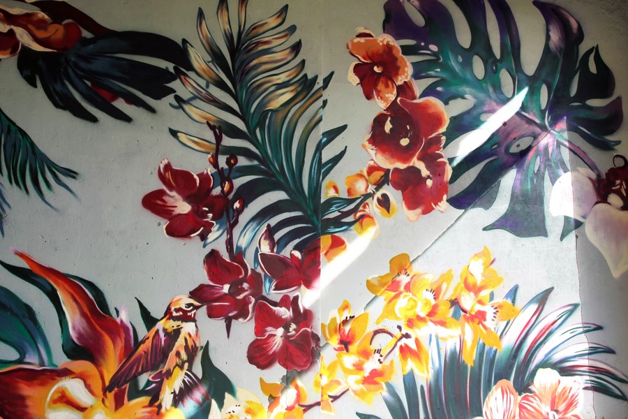 � ������� ���� ������� ������� "��������" �����