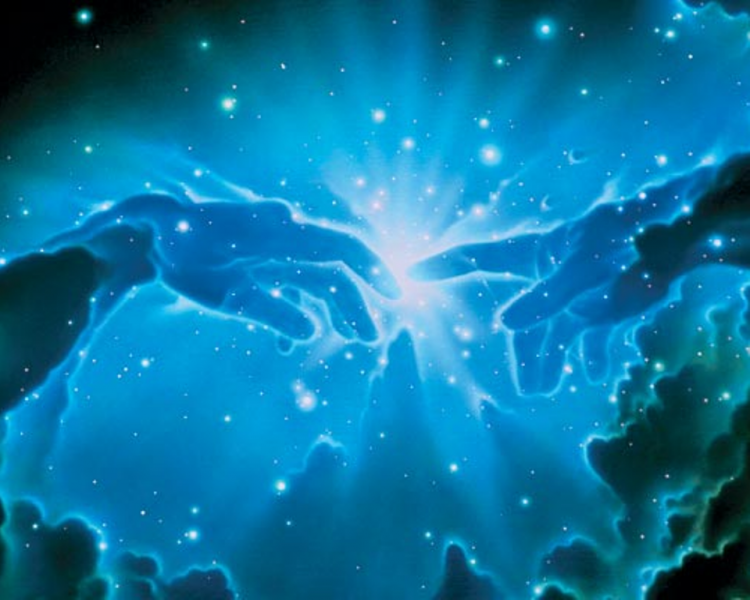 "OMSK FASHION POINT": ��������� ���������� ������������ ��������� ������� ������ ���-����������