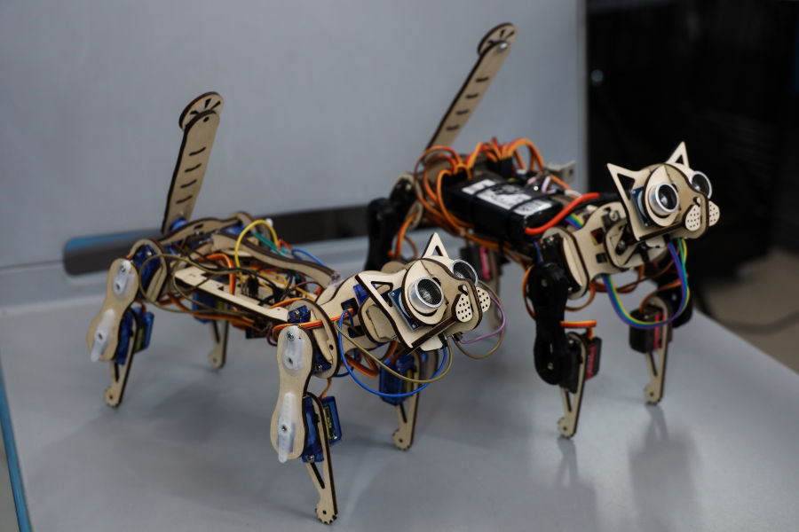 � ������ �������� ������� ����������� Cybercat MechMeow ��� �������� �������������