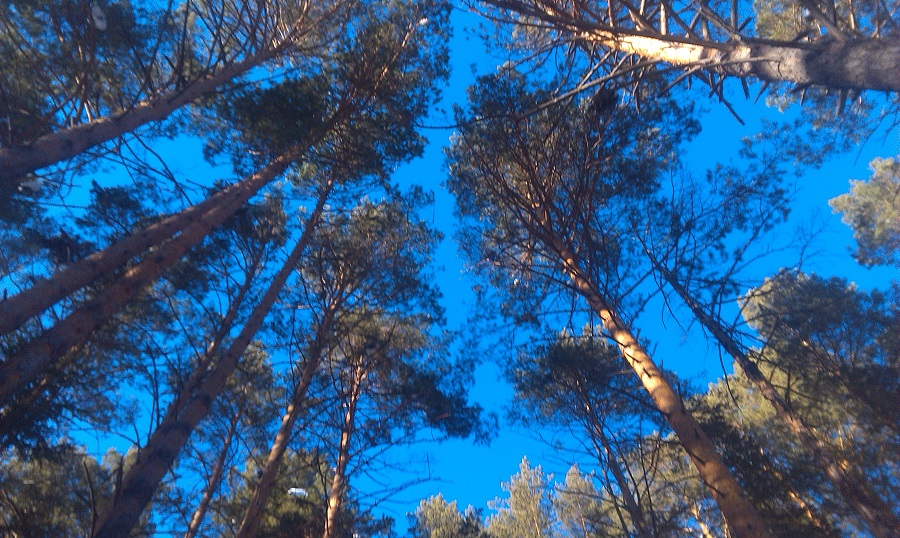 ����� ��������� ��� ������ ����� ����� �������������� �������