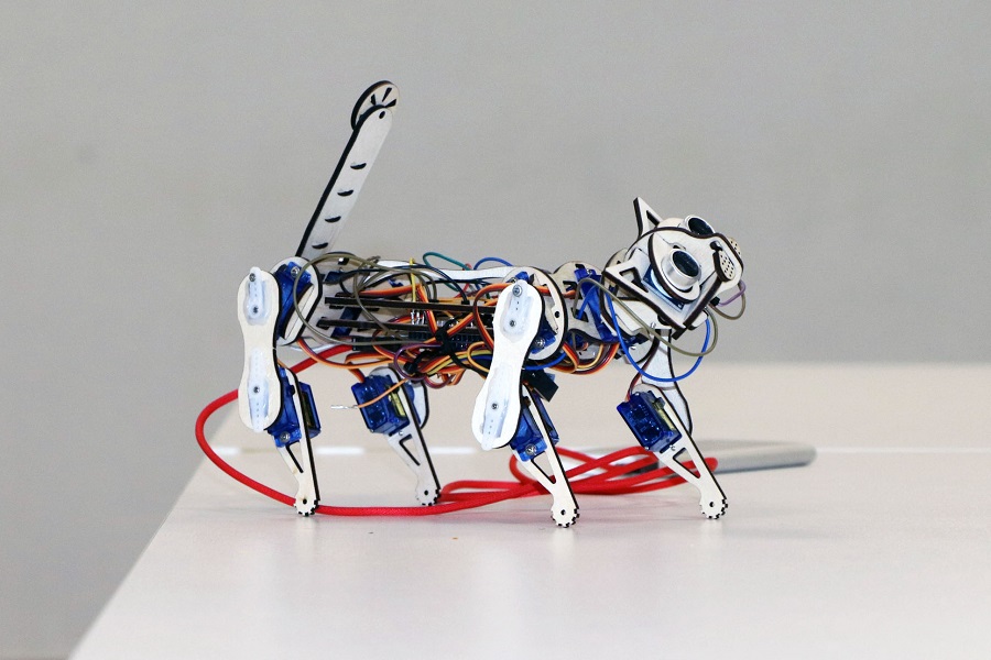 �����-���, ����������� ���������� ����������� � ���������� ��� ����: ��������� � �������� ����� ����������� ������������� �������